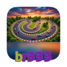 br333